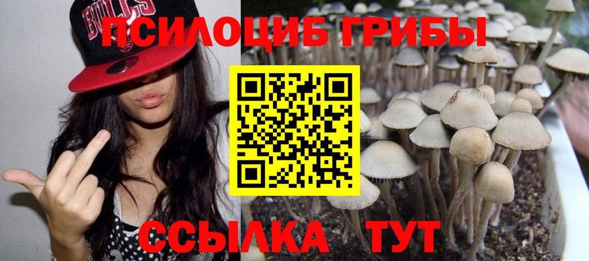 Галлюциногенные грибы Psilocybe Фролово