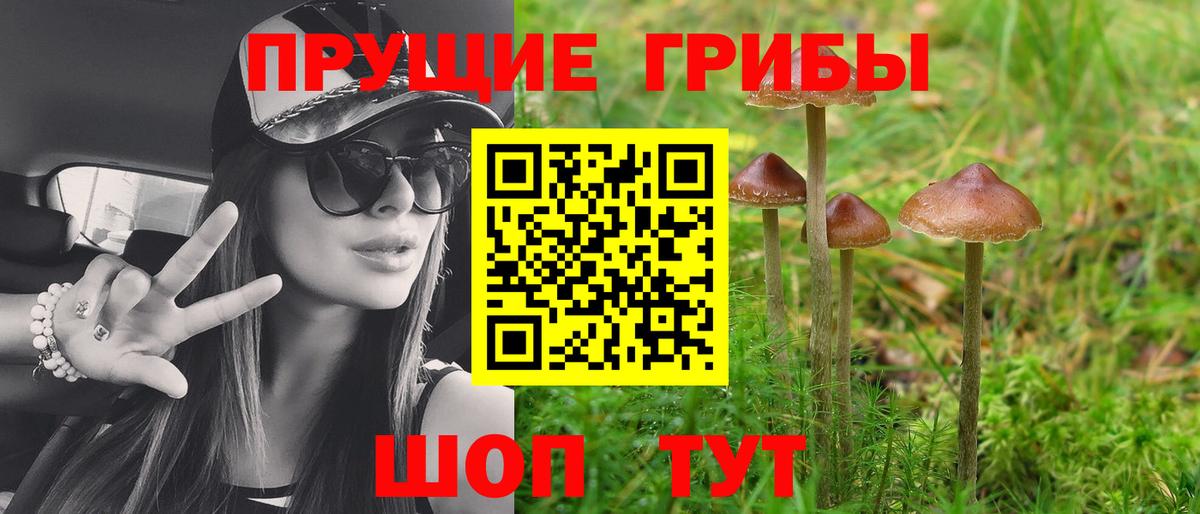 Галлюциногенные грибы прущие грибы  Вход с VPN  Фролово 
